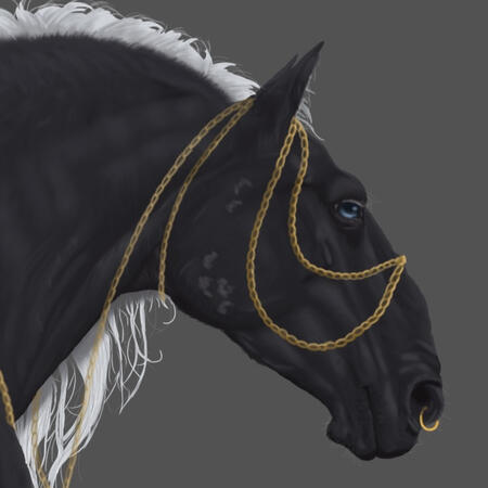 Horse w/ jewelry